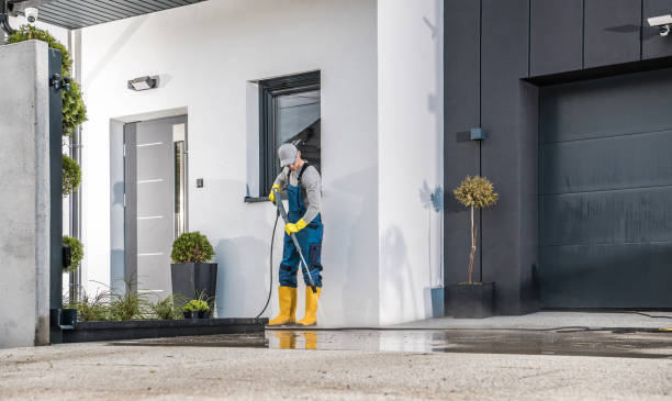 Best Driveway Cleaning and Restoration in Belington, WV